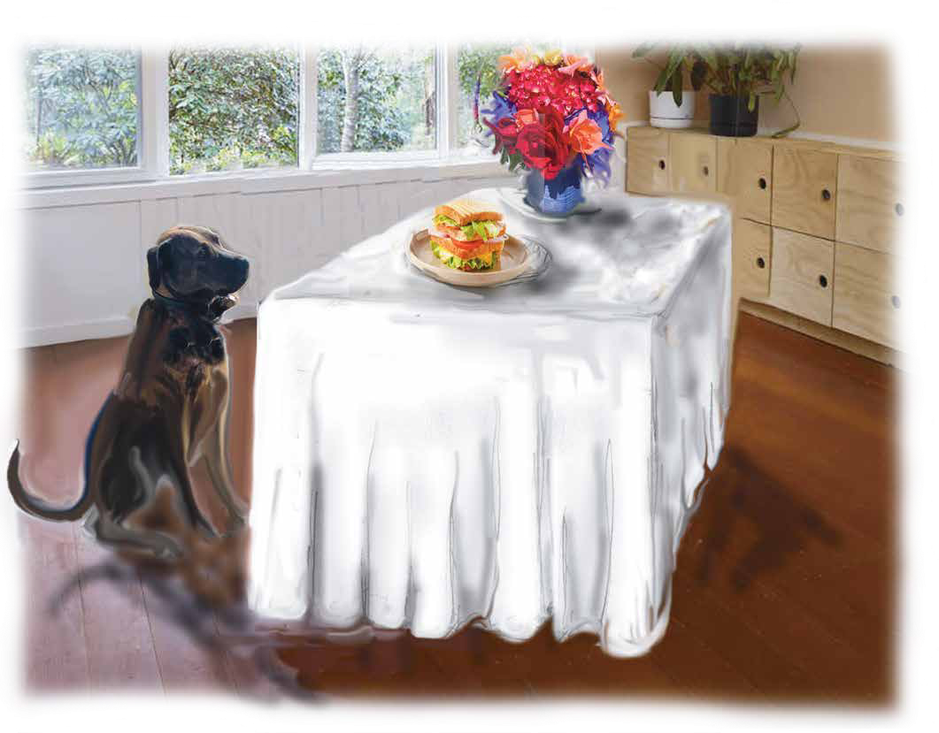 Jed eyeing a sandwich on the table